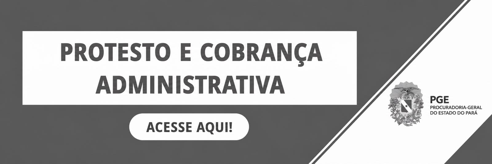 Página para Protesto e Cobrança Administrativa